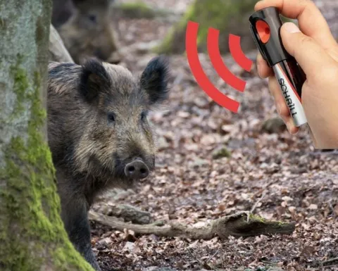 Alarm Dźwiękowy GŁOŚNY Odstraszacz Zwierząt do Samoobrony Na Dziki 110
