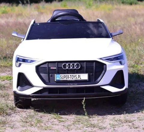 AUTO NA AKUMULATOR AUDI E-TRON SPORTBACK NAJLEPSZA WERSJA/QLS6688