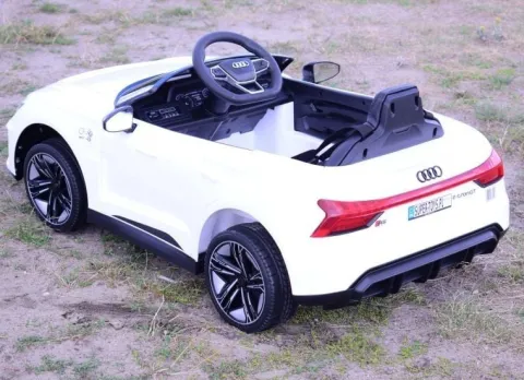 AUTO NA AKUMULATOR AUDI RS E-TRON GT , MIĘKKIE KOŁA, MIEKKIE SIEDZENIE, SUPER JAKOSĆ/QLS6888