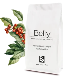 Belly Coffee - Kawa Niskodrażniąca 250g - ziarna (od producenta)