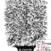 Cleantle Teddy Bear Wash Mitt - Rękawica Do Mycia