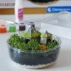 !!! CLE Harry Potter Terrarium 19248