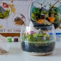 !!! CLE Harry Potter Terrarium 19248