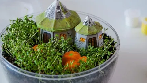 !!! CLE Harry Potter Terrarium 19248