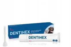DENTISEPT PASTA DO ZĘBÓW DLA PSA i KOTA 20g