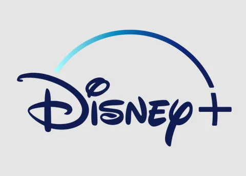 DISNEY + PLUS PREMIUM | 12 MIESIĘCY | BEZ REKLAM | KONTO | GWARANCJA