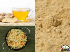 Galangal mielony w proszku suszony przyprawa korzeń azjatycki jak imbir 100g