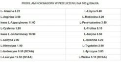 GenLab - Gain Support Professional - 2,4 kg ciastko czekoladowe