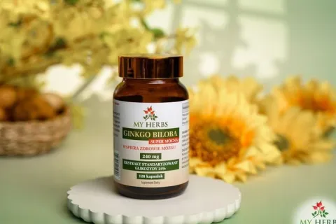 Ginkgo biloba 240mg 120szt pamięć koncentracja forte witalność Super Mocna