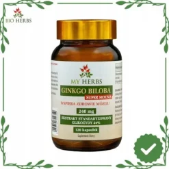 Ginkgo biloba 240mg 120szt pamięć koncentracja forte witalność Super Mocna