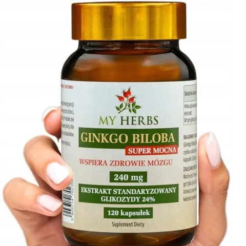 Ginkgo biloba 240mg 120szt pamięć koncentracja forte witalność Super Mocna