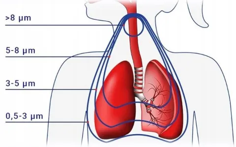 INHALATOR NEBULIZATOR RF7 DLA DZIECI FLAEM NEBULAIR+ 2MASKI CERTYFIKAT TUV