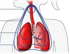 INHALATOR NEBULIZATOR TŁOKOWY DLA DZIECI DOROSŁYCH FLAEM ALPHANEB 4POZIOMY