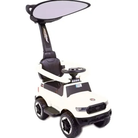 JEŹDZIK, ODPYCHACZ COLL BABY Z DŹWIĘKAMI I DASZKIEM/TC-902
