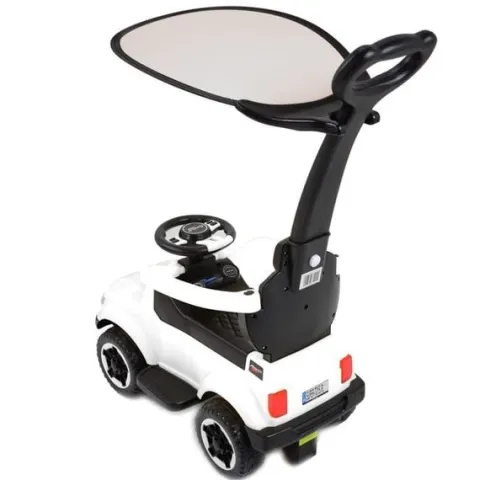 JEŹDZIK, ODPYCHACZ COLL BABY Z DŹWIĘKAMI I DASZKIEM/TC-902