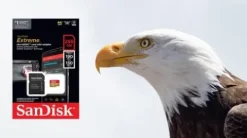 Karta pamięci SANDISK Extreme microSDXC 256GB