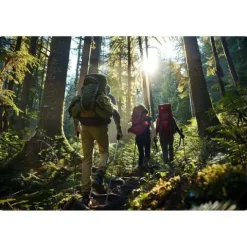 Kijki trekkingowe NS-380 Neo-Sport