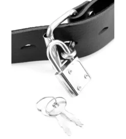 Knebel BDSM z dildo