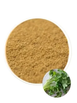 Kolendra mielona w proszku przyprawa do hummus 100g
