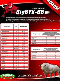 Koncentrat dla opasów byków Big Byk Neorol 25kg
