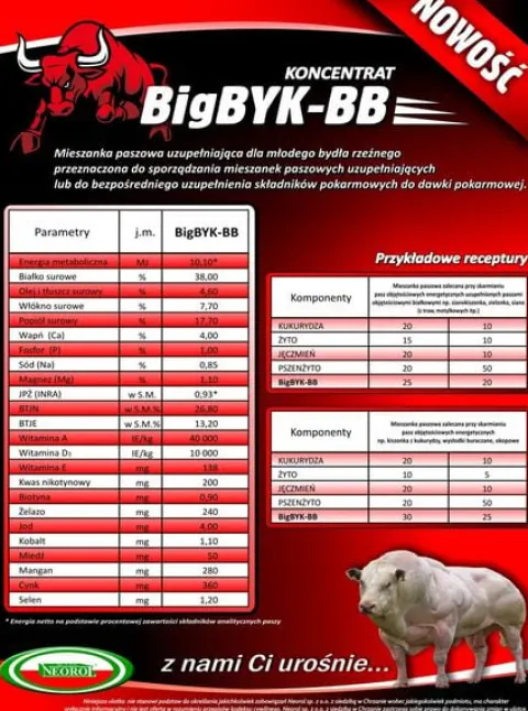 Koncentrat dla opasów byków Big Byk Neorol 25kg