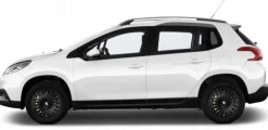 KOŁPAKI 15 do PEUGEOT 207 307 306 206 SW GCP