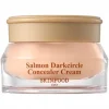 Korektor kremowy Skinfood Salmon Darkcircle Concealer Cream 01 Blooming 10g