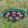 Koszyk do cebulek okrągły 18cm | Zieleń trawiasta