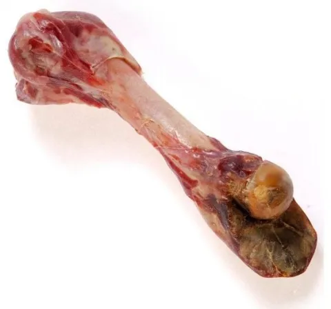 Kość z szynki parmeńskiej 27cm - naturalny gryzak dla dużego psa Zolux 370g