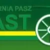 Królik Junior Pasza dla młodych królików Piast 25k