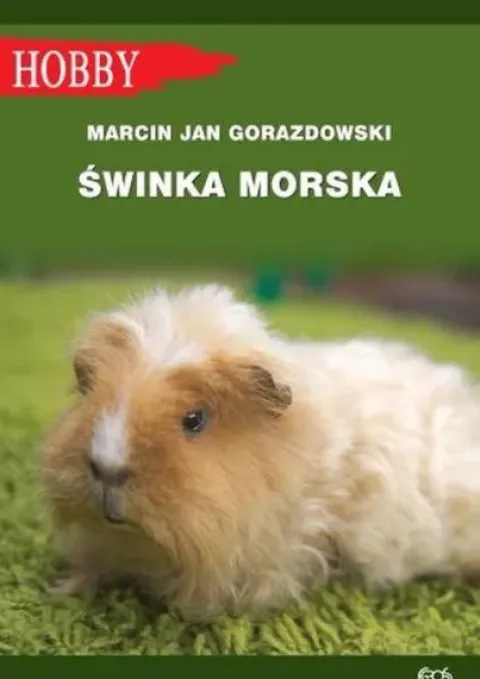 Książeczka zdrowia kota międzynarodowa