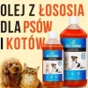 LAB V Olej z łososia dla psa i kota 5000ml 5L