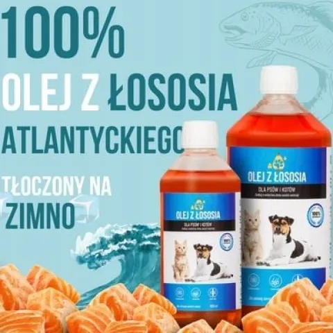 LAB V Olej z łososia dla psa i kota 5000ml 5L