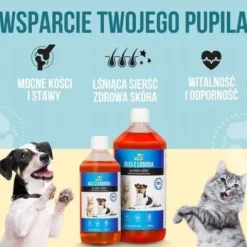 LAB V Olej z łososia dla psa i kota 5000ml 5L