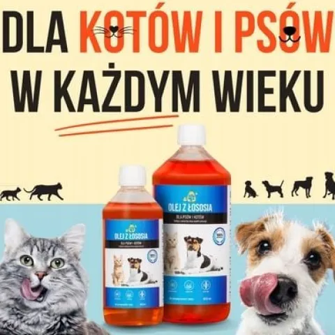LAB V Olej z łososia dla psa i kota 5000ml 5L
