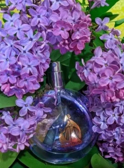 LANVIN ECLAT D'ARPEGE EDP 100ML FLAKON BEZ KORKA
