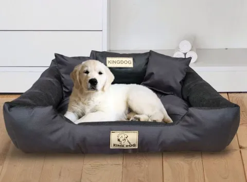 Legowisko dla psa kojec KINGDOG 130x105cm personalizowane XXL