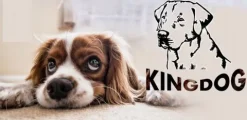 Legowisko dla psa kojec KINGDOG 130x105cm personalizowane XXL