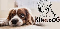 Legowisko Dla Psa Kojec Kingdog 115X95 Cm Personalizowane Wodoodporne