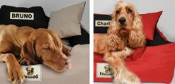 Legowisko dla psa kojec KINGDOG 115x95 personalizowane wodoodporne brązowe