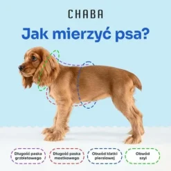 Lekkie Szelki dla Średniego Psa GUARD Bezuciskowe Regulowane Solidne r. M