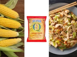 Makaron Golden Bihon kukurydziany z Filipin bezglutenowy noodle cornstarch 227g