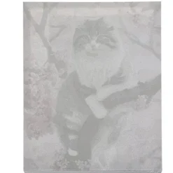 Malowanie Po Numerach 40X50Cm- Kotek Maaleo 22783
