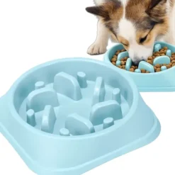 Miska spowalniająca jedzenie dla psa kota zwierząt duża z przegrodami 19cm