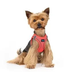 MOCNE SZELKI BEZUCISKOWE DLA MAŁEGO PSA, KOTA S 36-44 cm + GRATIS