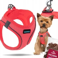 MOCNE SZELKI BEZUCISKOWE DLA MAŁEGO PSA, KOTA S 36-44 cm + GRATIS