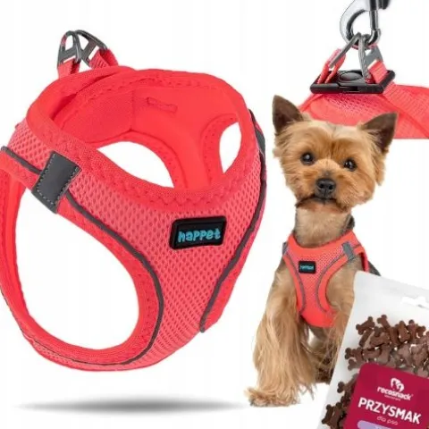 MOCNE SZELKI BEZUCISKOWE DLA MAŁEGO PSA, KOTA S 36-44 cm + GRATIS