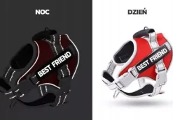 MOCNE SZELKI dla PSA BEZUCISKOWE M 50-62 + GRAWER