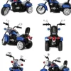 MOTOR CHOPPER Z OPARCIEM, WARKIEM SILNIKA/TR1501
