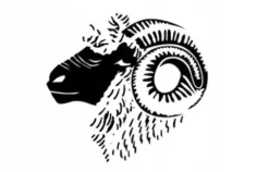 Męskie Skarpety Narciarskie BRUBECK MERINO WOOL ZIMOWE TERMICZNE WEŁNA